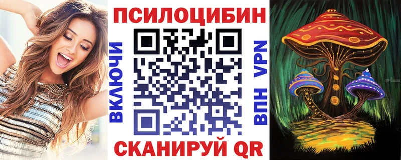 сколько стоит  shop Telegram  Псилоцибиновые грибы MAGIC MUSHROOMS  Кыштым 